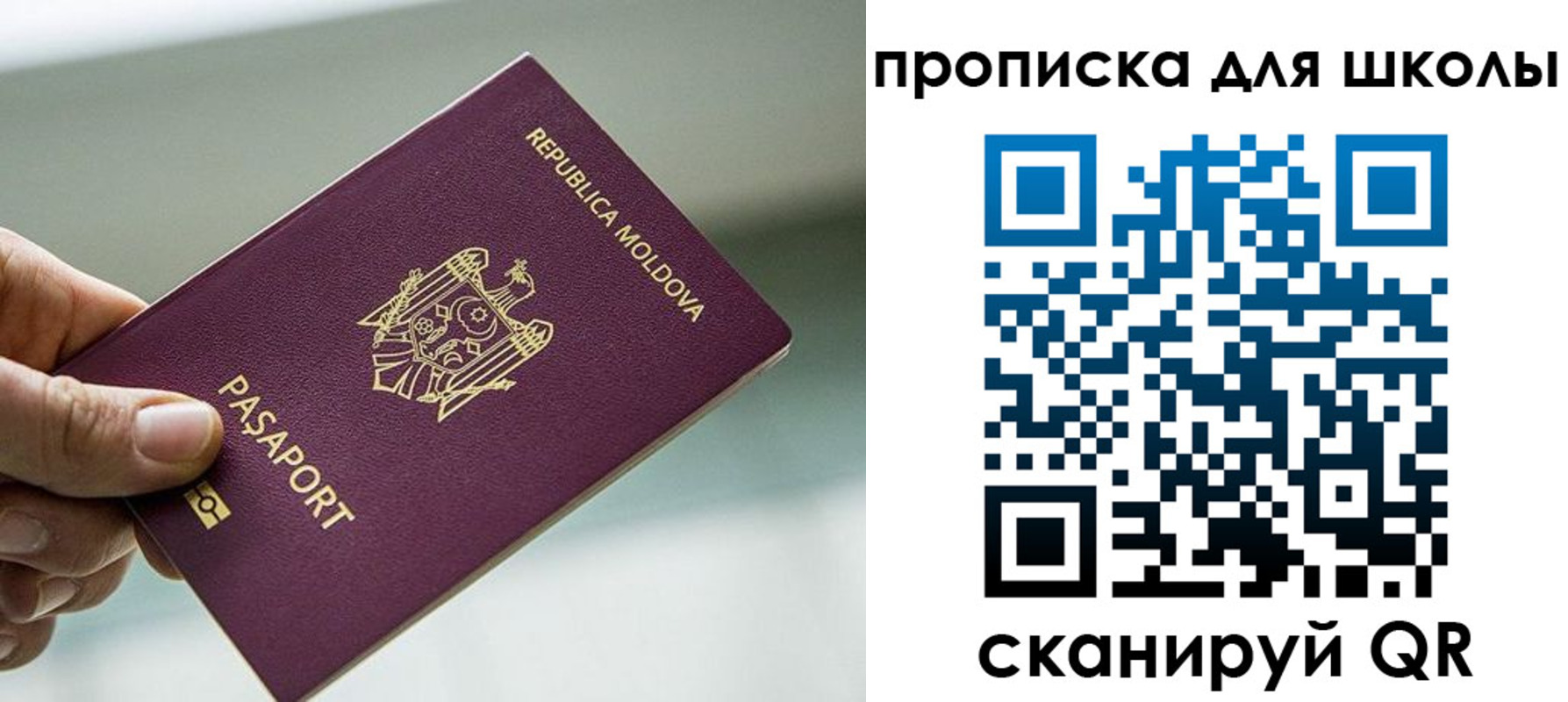 прописка в квартире в Камчатской области